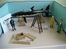 Tintin scène requin plomb Trésor Rackham le rouge 1000 ex Pixi Moulinsart Hergé